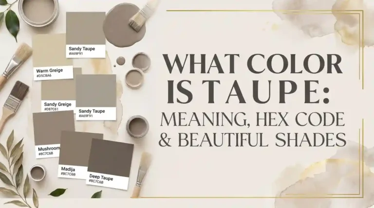 Taupe color palette showing warm gray and brown undertones