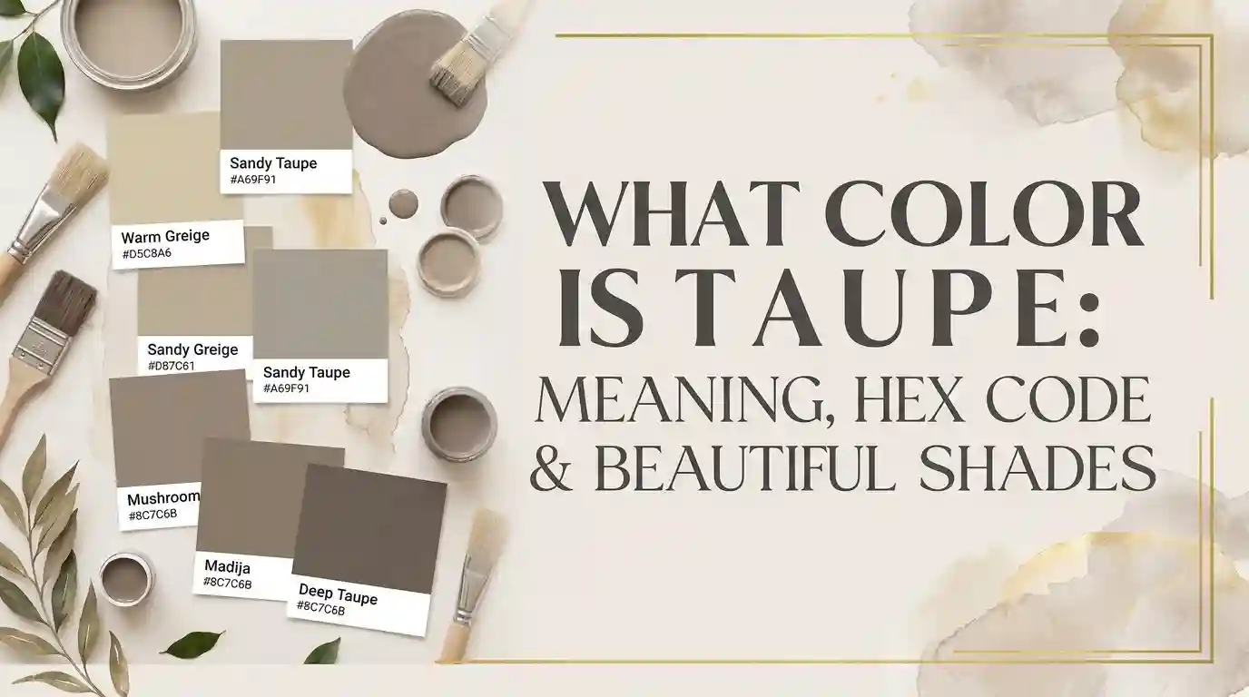 Taupe color palette showing warm gray and brown undertones
